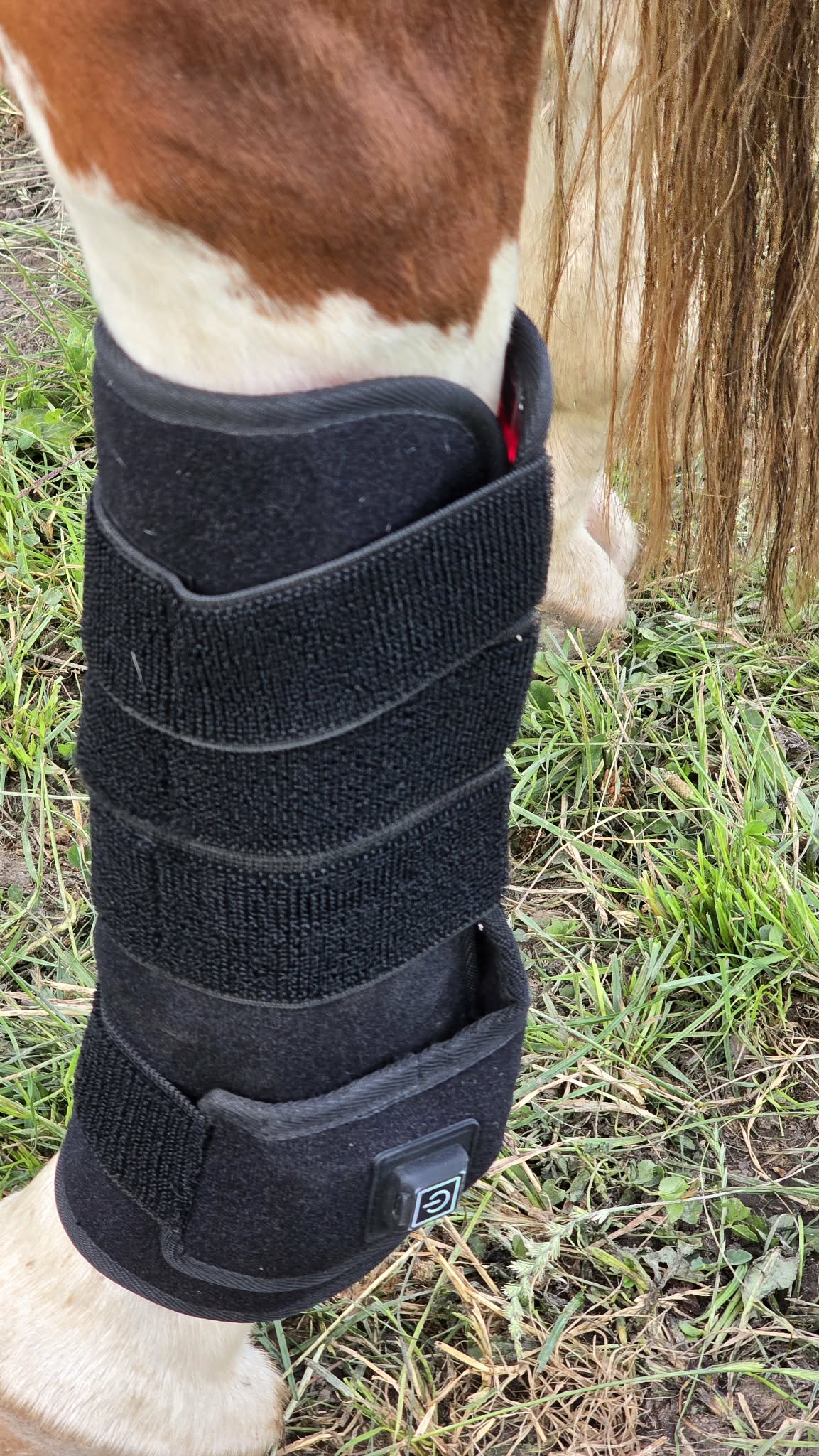 Horse Leg Wrap Pair