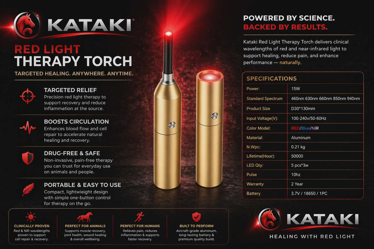 Animal Torch