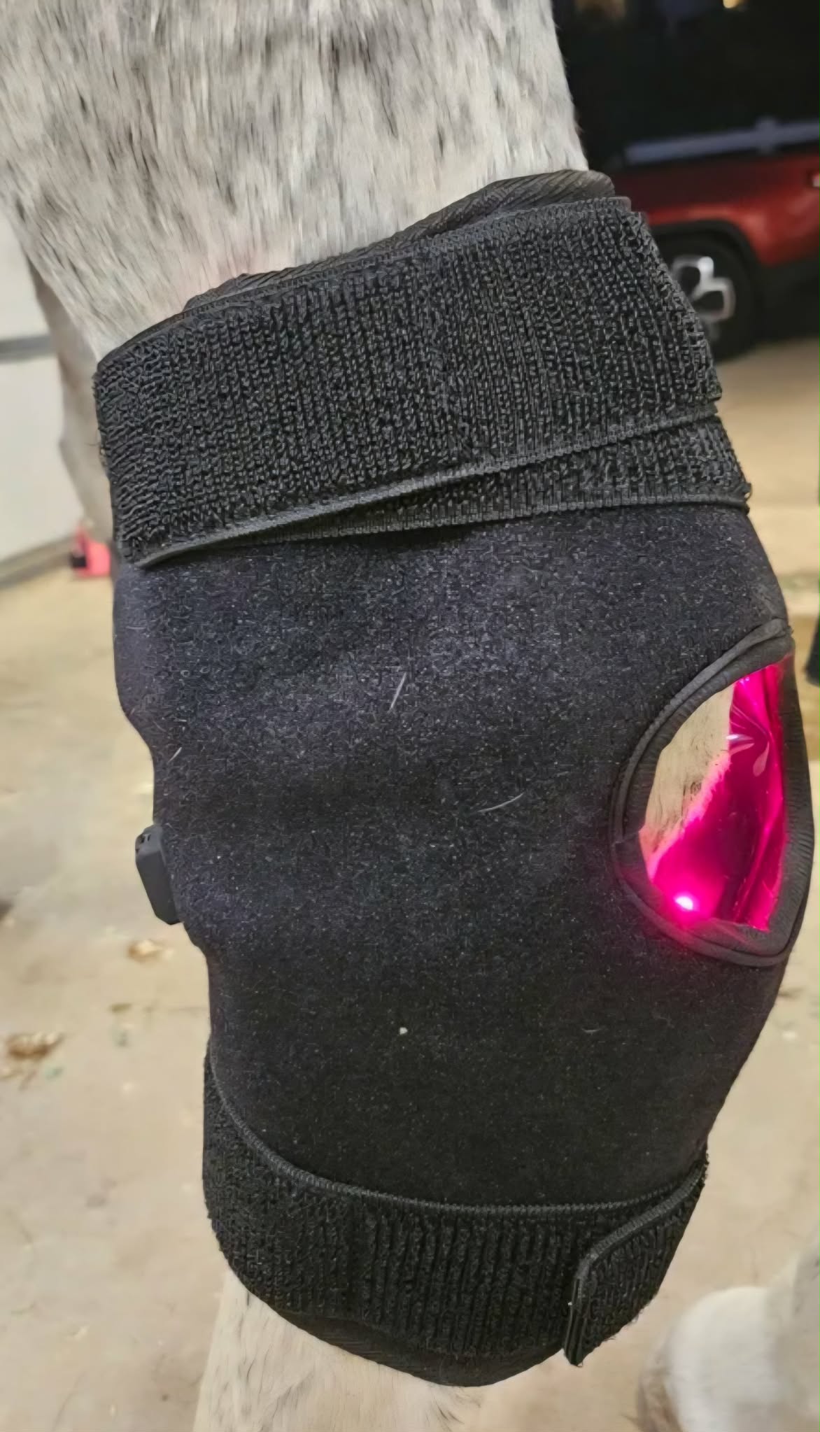 Horse Hock Wrap left