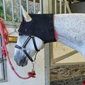 Ultimate Horse Kit Pro2