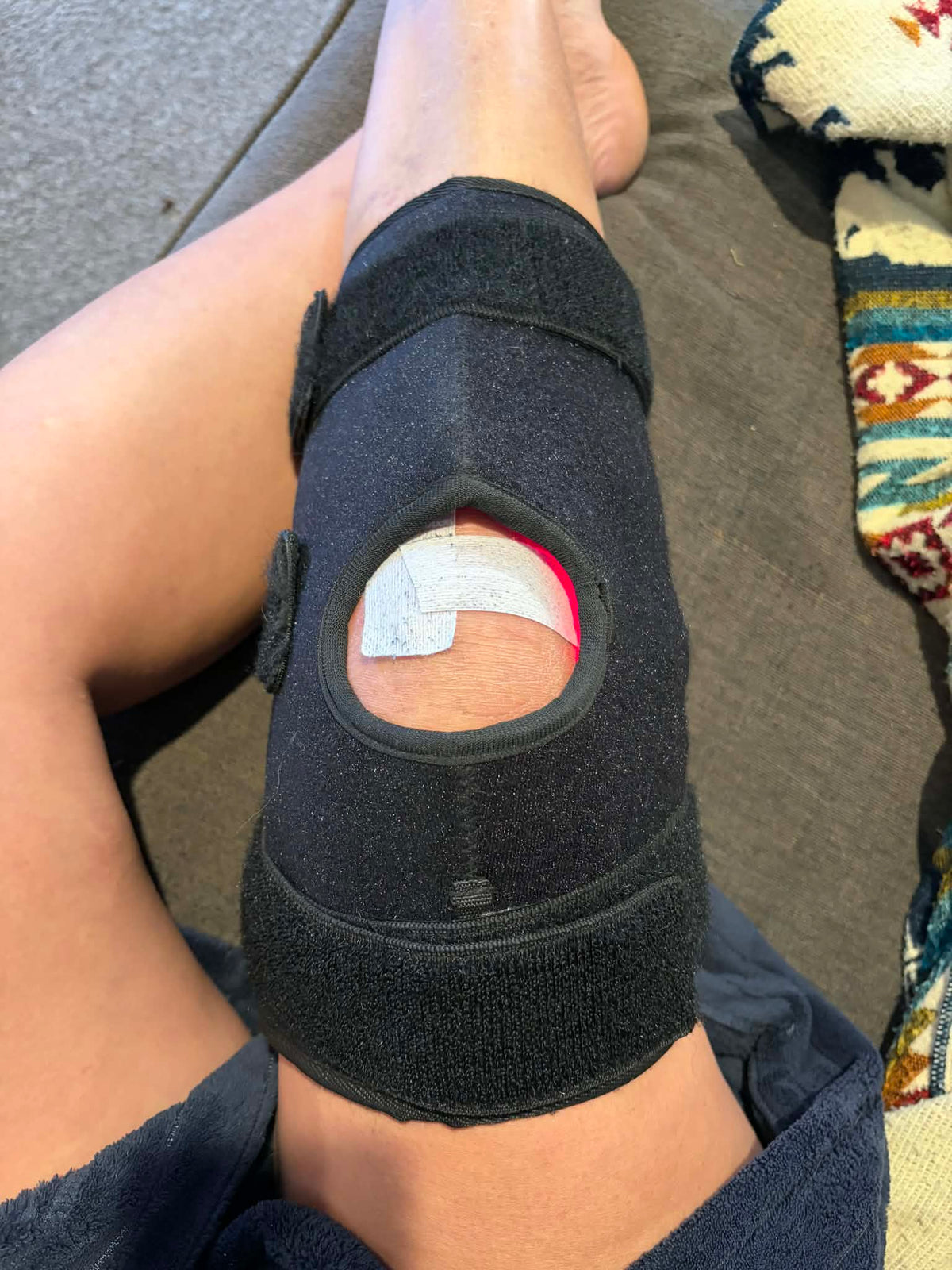 Horse Hock Wrap left