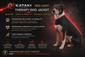 Dog Jacket Medium