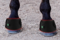 Horse Bell Boot