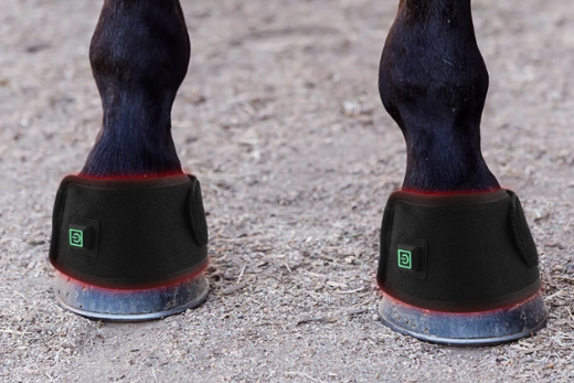 Horse Bell Boot Pair