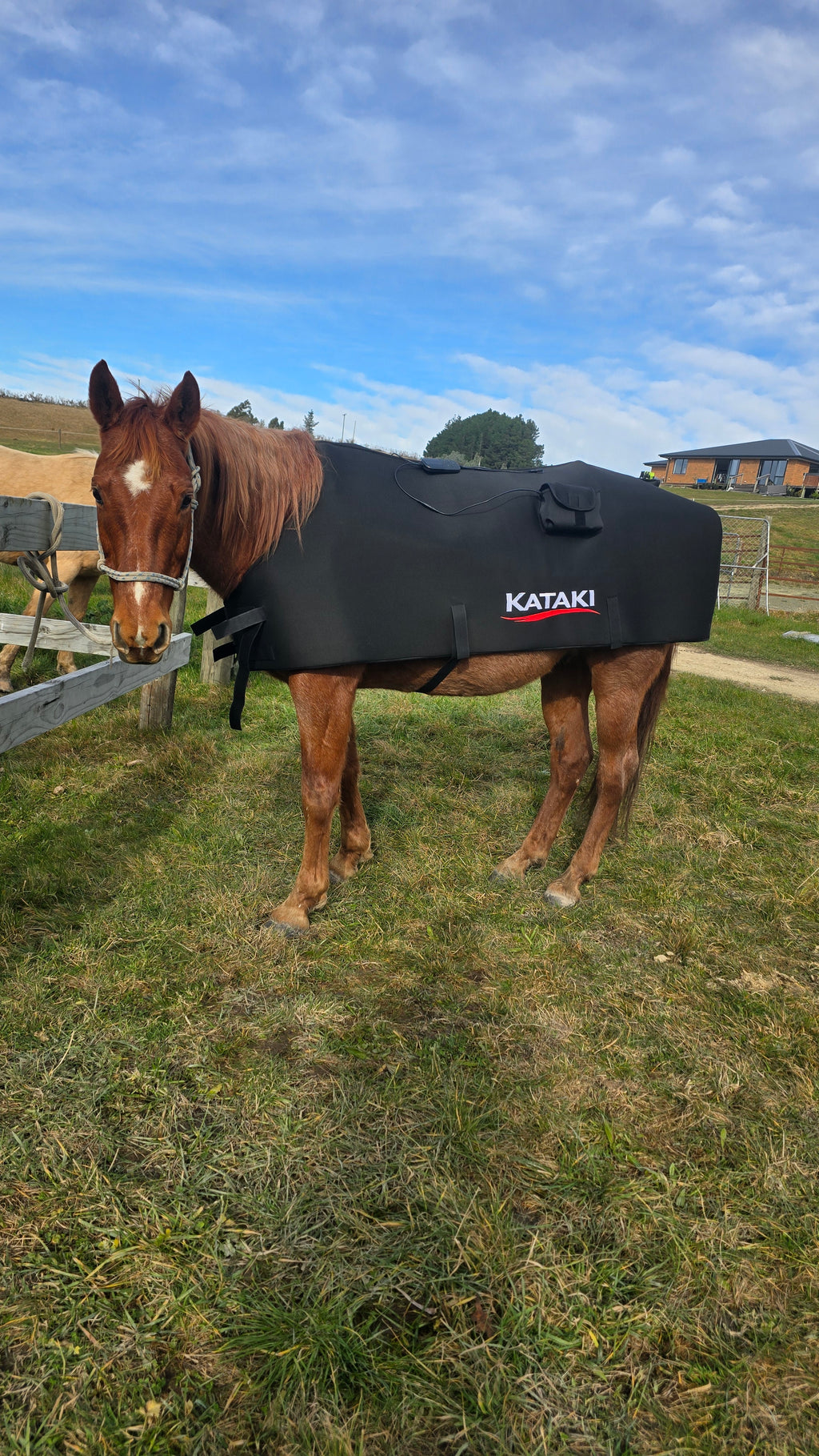 Horse Blanket - Coming Soon