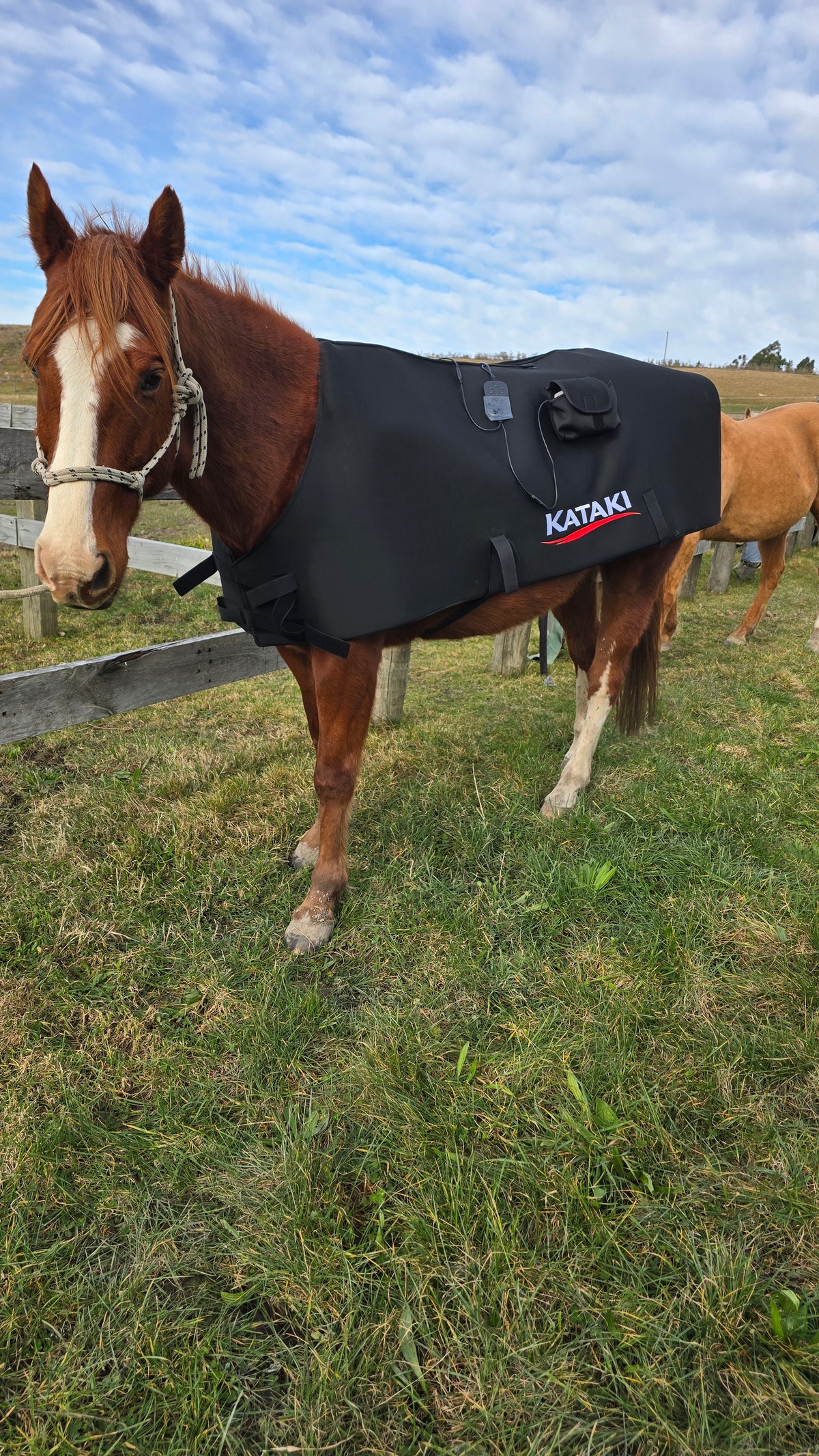 Horse Blanket - Coming Soon