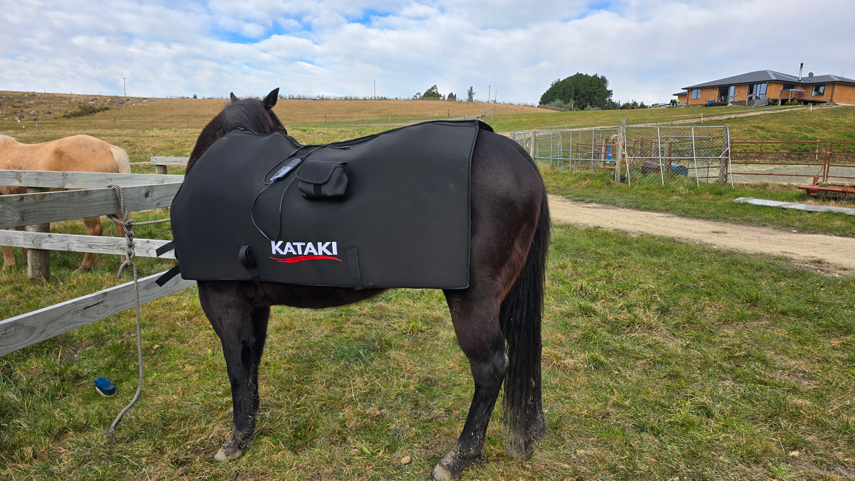 Horse Blanket - Coming Soon