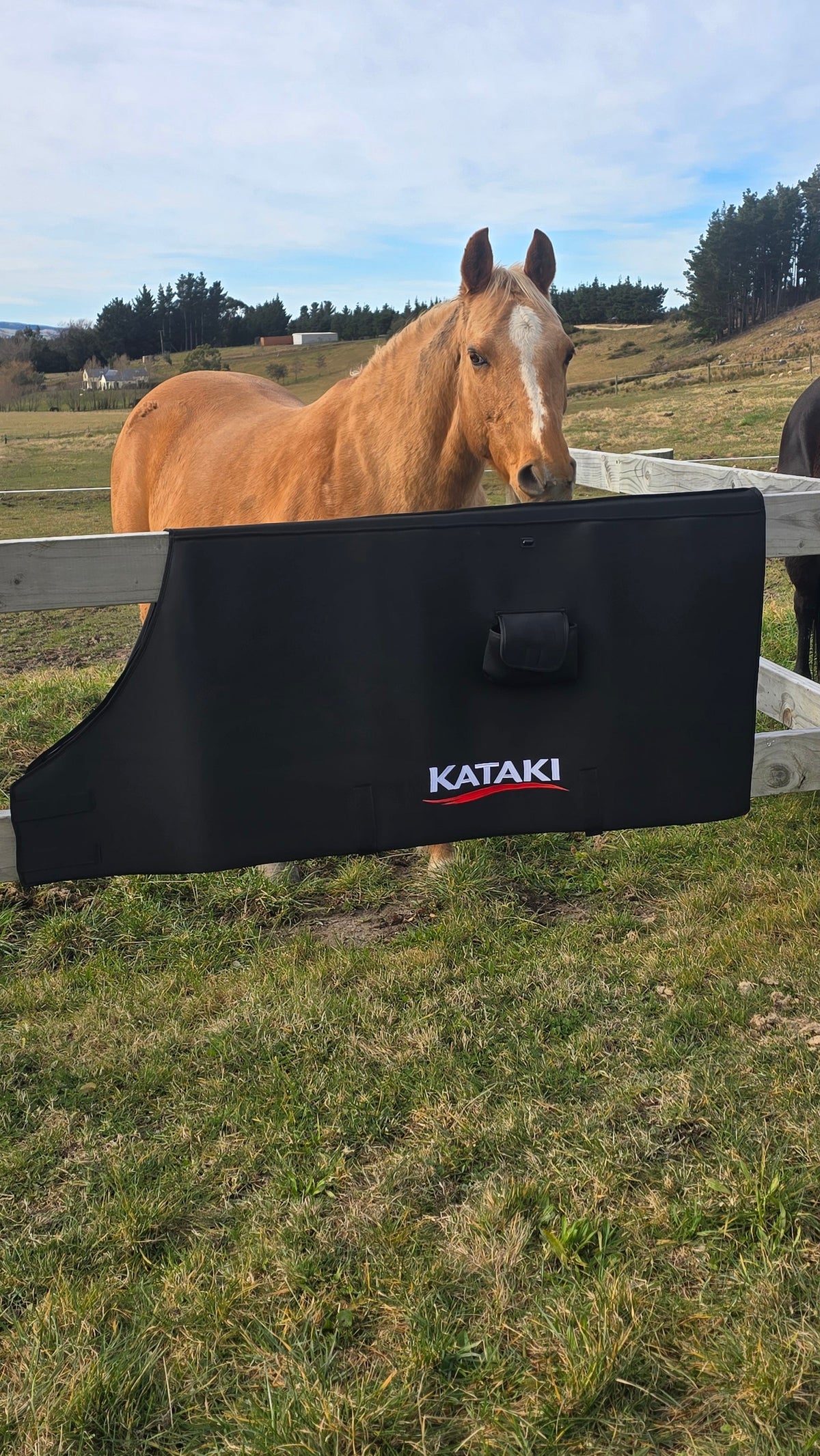 Horse Blanket - Coming Soon