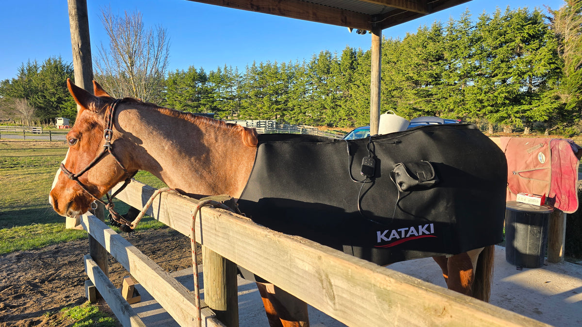 Horse Blanket - Coming Soon